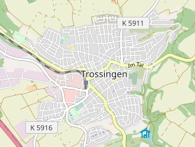 Tax advisor on map